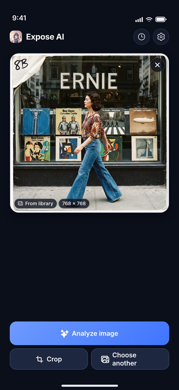 The Expose AI home screen: a selected portrait photo with an Analyze image button, plus Crop and Choose another